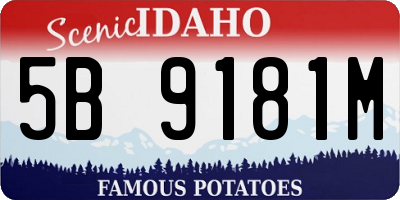 ID license plate 5B9181M
