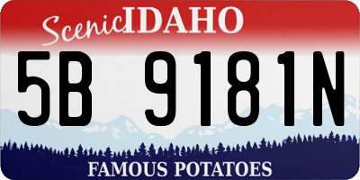 ID license plate 5B9181N