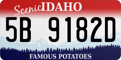 ID license plate 5B9182D