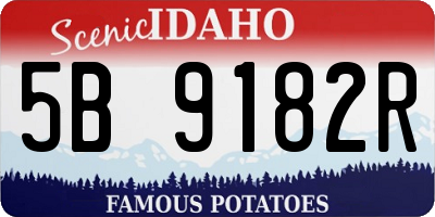 ID license plate 5B9182R
