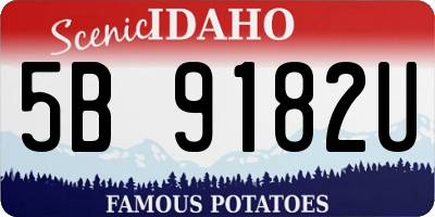 ID license plate 5B9182U