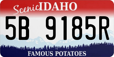 ID license plate 5B9185R
