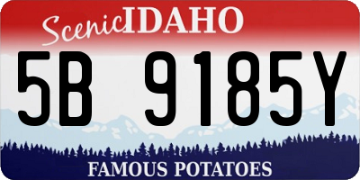 ID license plate 5B9185Y