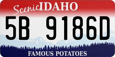 ID license plate 5B9186D