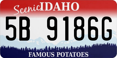 ID license plate 5B9186G