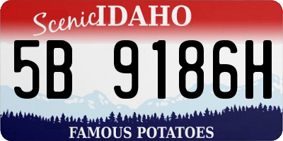 ID license plate 5B9186H