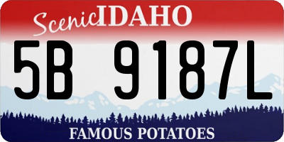 ID license plate 5B9187L