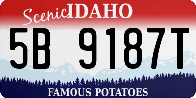 ID license plate 5B9187T
