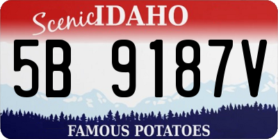 ID license plate 5B9187V