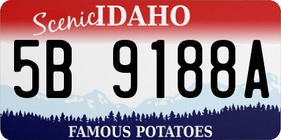 ID license plate 5B9188A