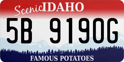 ID license plate 5B9190G