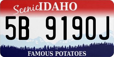 ID license plate 5B9190J