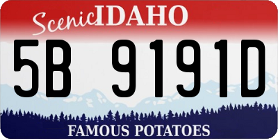ID license plate 5B9191D
