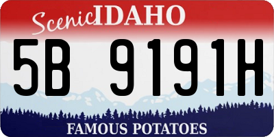 ID license plate 5B9191H