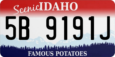ID license plate 5B9191J