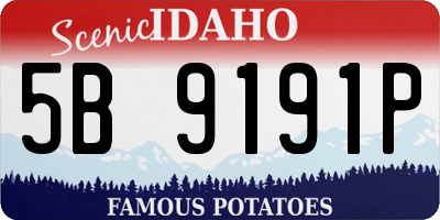 ID license plate 5B9191P