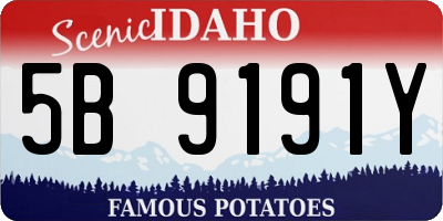 ID license plate 5B9191Y