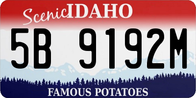 ID license plate 5B9192M