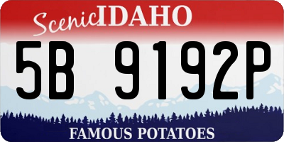 ID license plate 5B9192P