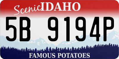 ID license plate 5B9194P
