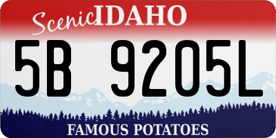 ID license plate 5B9205L