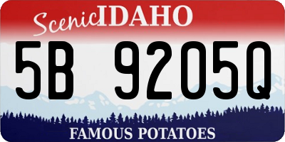 ID license plate 5B9205Q
