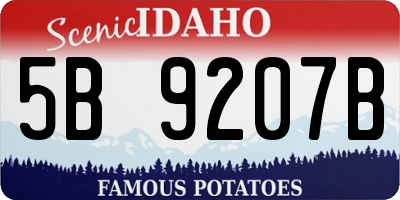 ID license plate 5B9207B