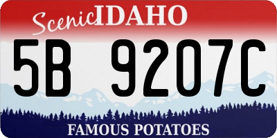 ID license plate 5B9207C