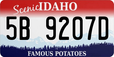 ID license plate 5B9207D