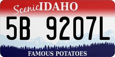 ID license plate 5B9207L
