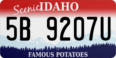 ID license plate 5B9207U