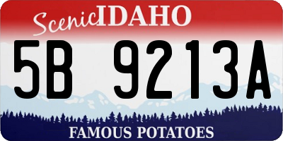 ID license plate 5B9213A