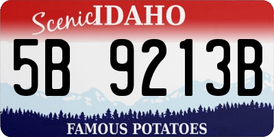 ID license plate 5B9213B