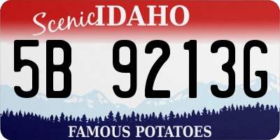ID license plate 5B9213G