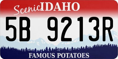 ID license plate 5B9213R