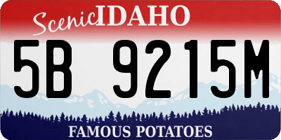 ID license plate 5B9215M
