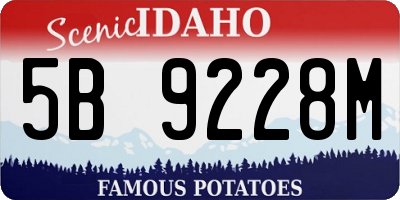ID license plate 5B9228M