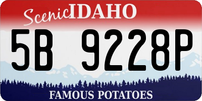ID license plate 5B9228P