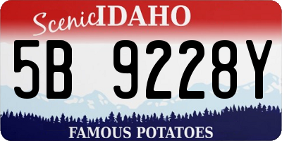 ID license plate 5B9228Y