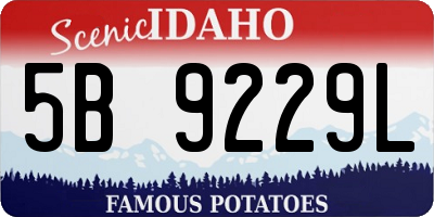 ID license plate 5B9229L