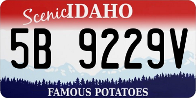 ID license plate 5B9229V