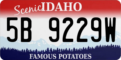 ID license plate 5B9229W