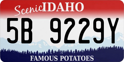 ID license plate 5B9229Y