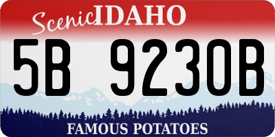 ID license plate 5B9230B