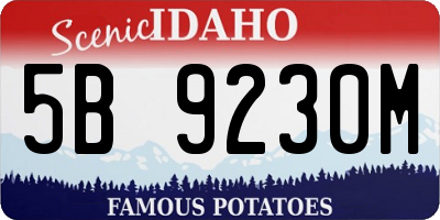 ID license plate 5B9230M