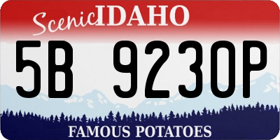 ID license plate 5B9230P
