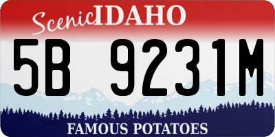 ID license plate 5B9231M