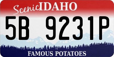 ID license plate 5B9231P
