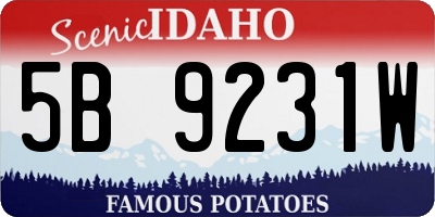 ID license plate 5B9231W