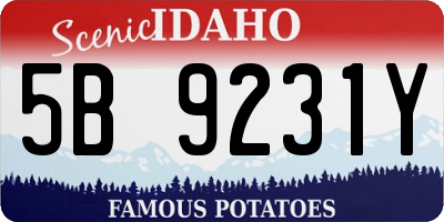 ID license plate 5B9231Y